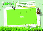绿叶中队