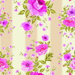 rose玫瑰花