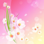 鲜花