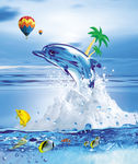 海豚