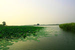 北京野鸭湖湿地公园