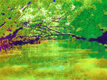 风景油画