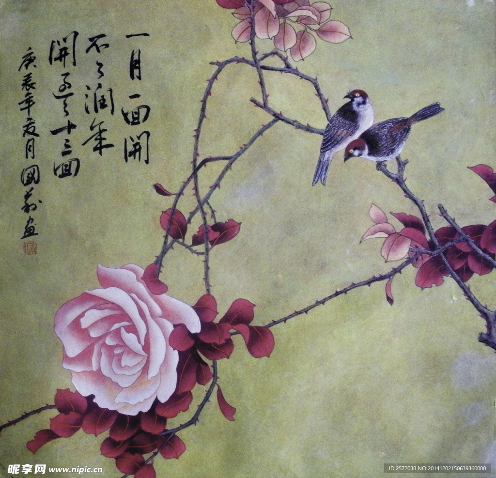月季小鸟