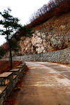 靠山路
