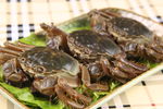 醉湖蟹