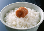 米饭