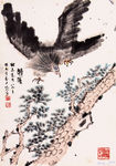 鹰