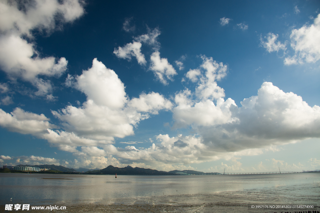 红树林湿地