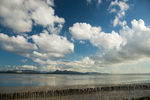 红树林湿地