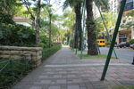 马路