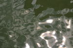 水波