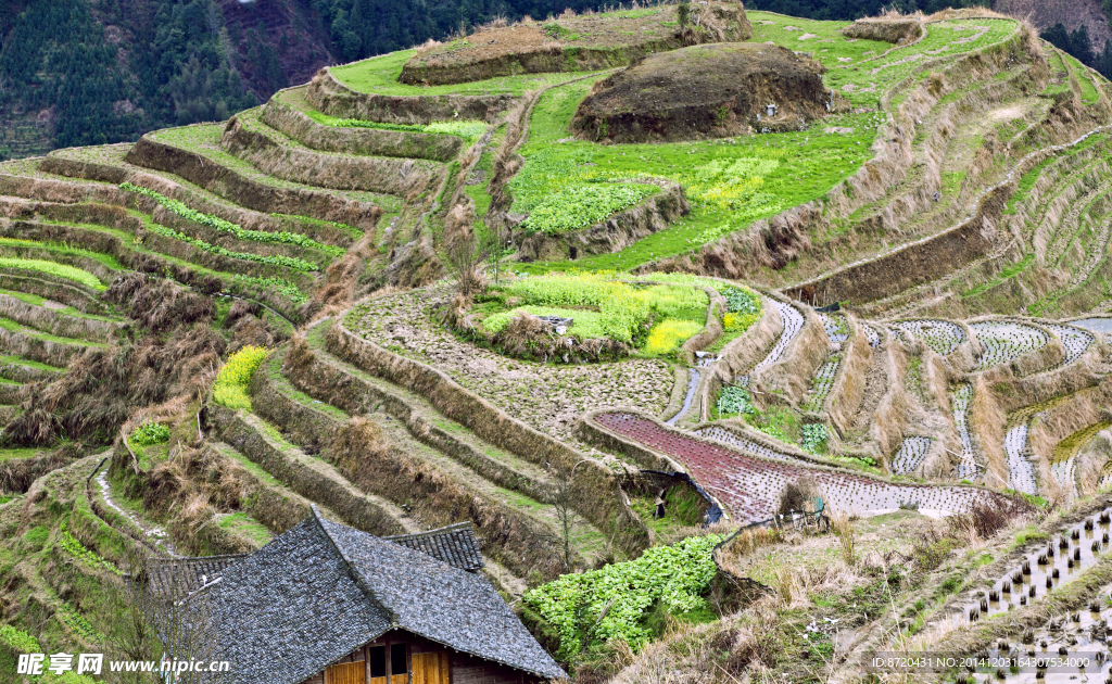 龙脊梯田