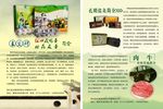 农产品 单页特产