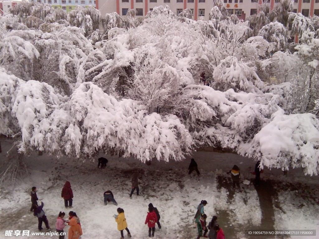 校园雪景