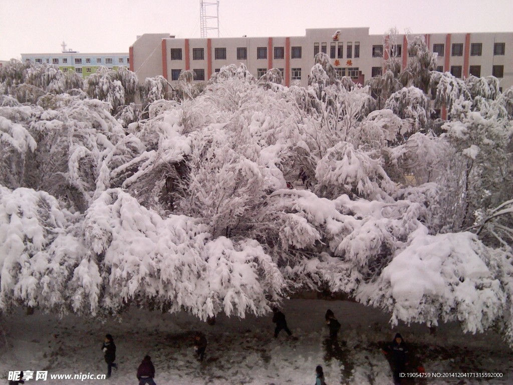 校园雪景