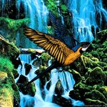 瀑布