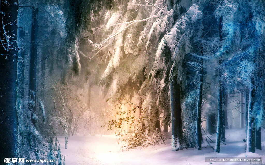 雪景