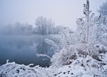 雪景