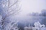 雪景