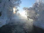 雪景