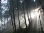 雾景