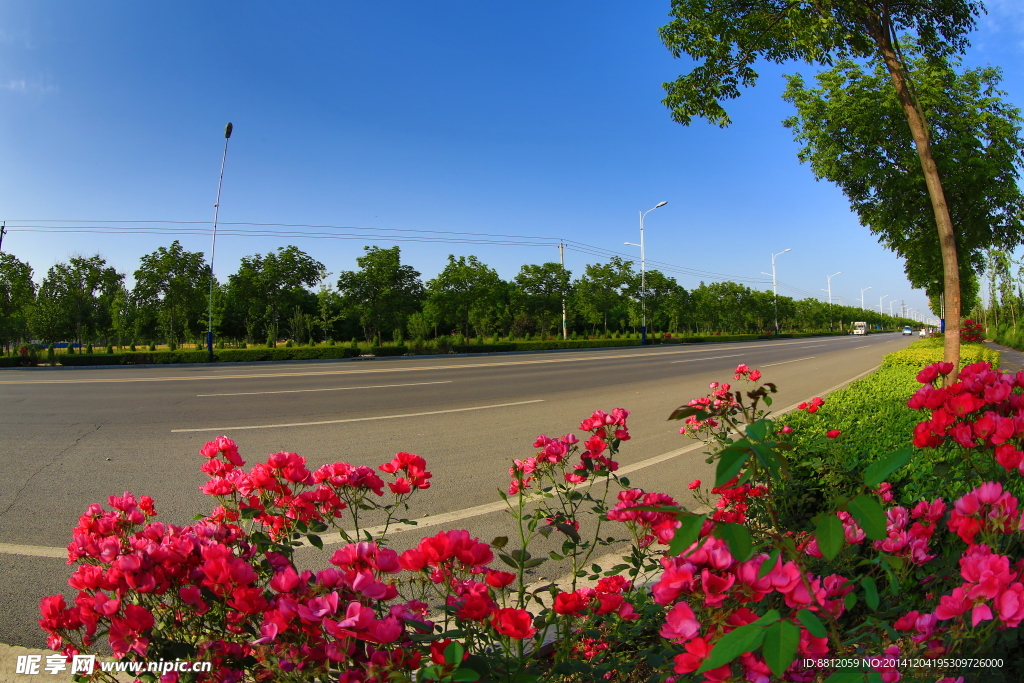 美丽的公路