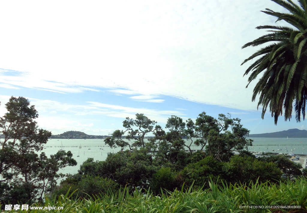 新西兰海滨风景