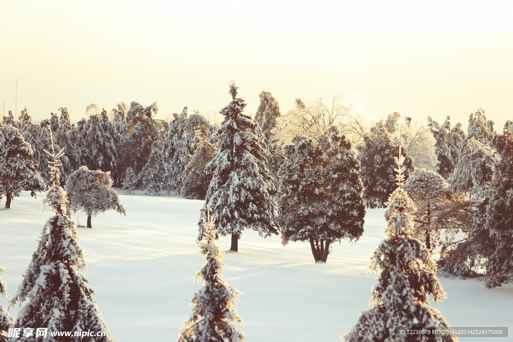 雪景