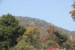 远山