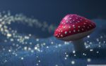 蘑菇幻境童话故事