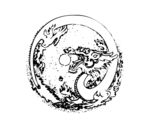 龙