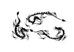 龙