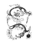 龙