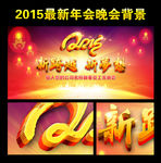 2015年会