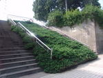 不锈钢栏杆