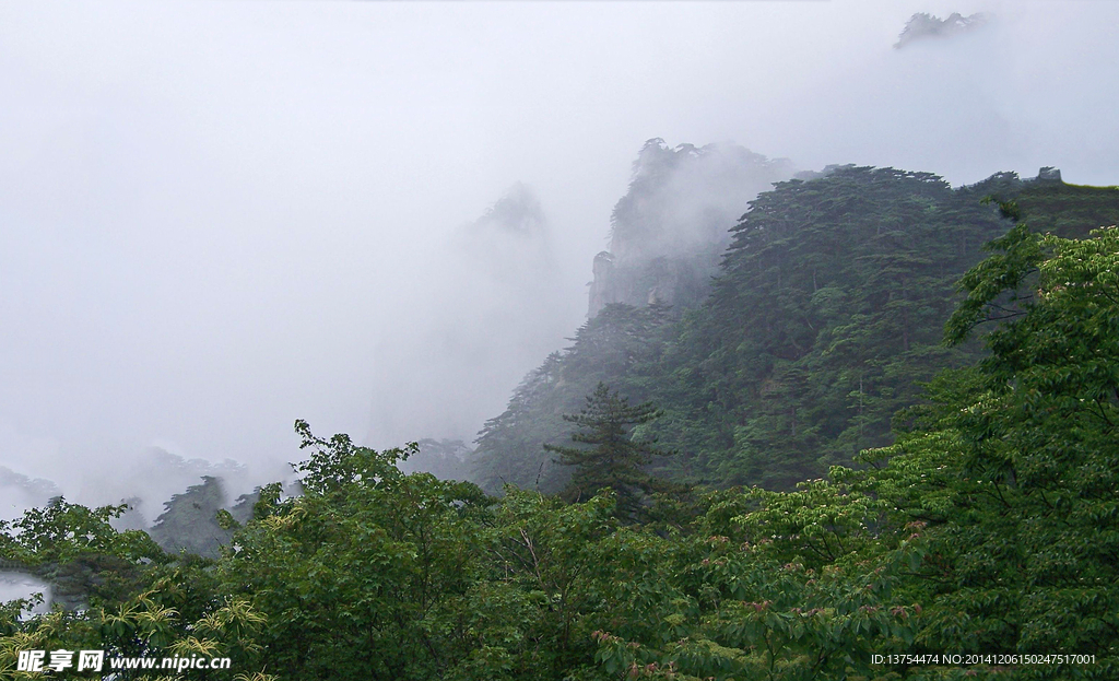 黄山雾景