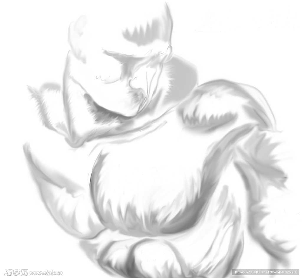 肌肉图绘画