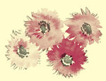 花纹