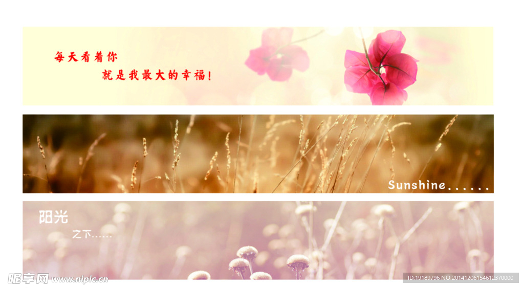 网站banner   广告横幅