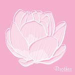 莲花底纹素材