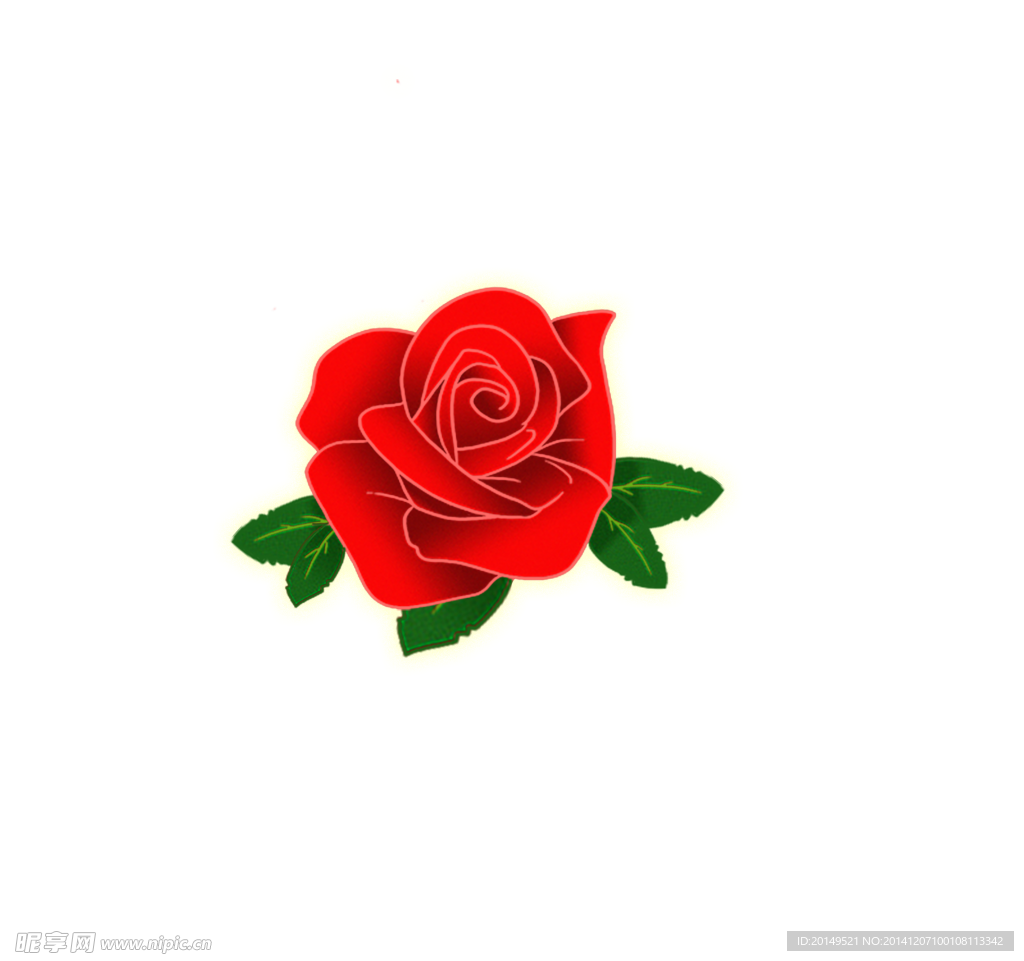 玫瑰花