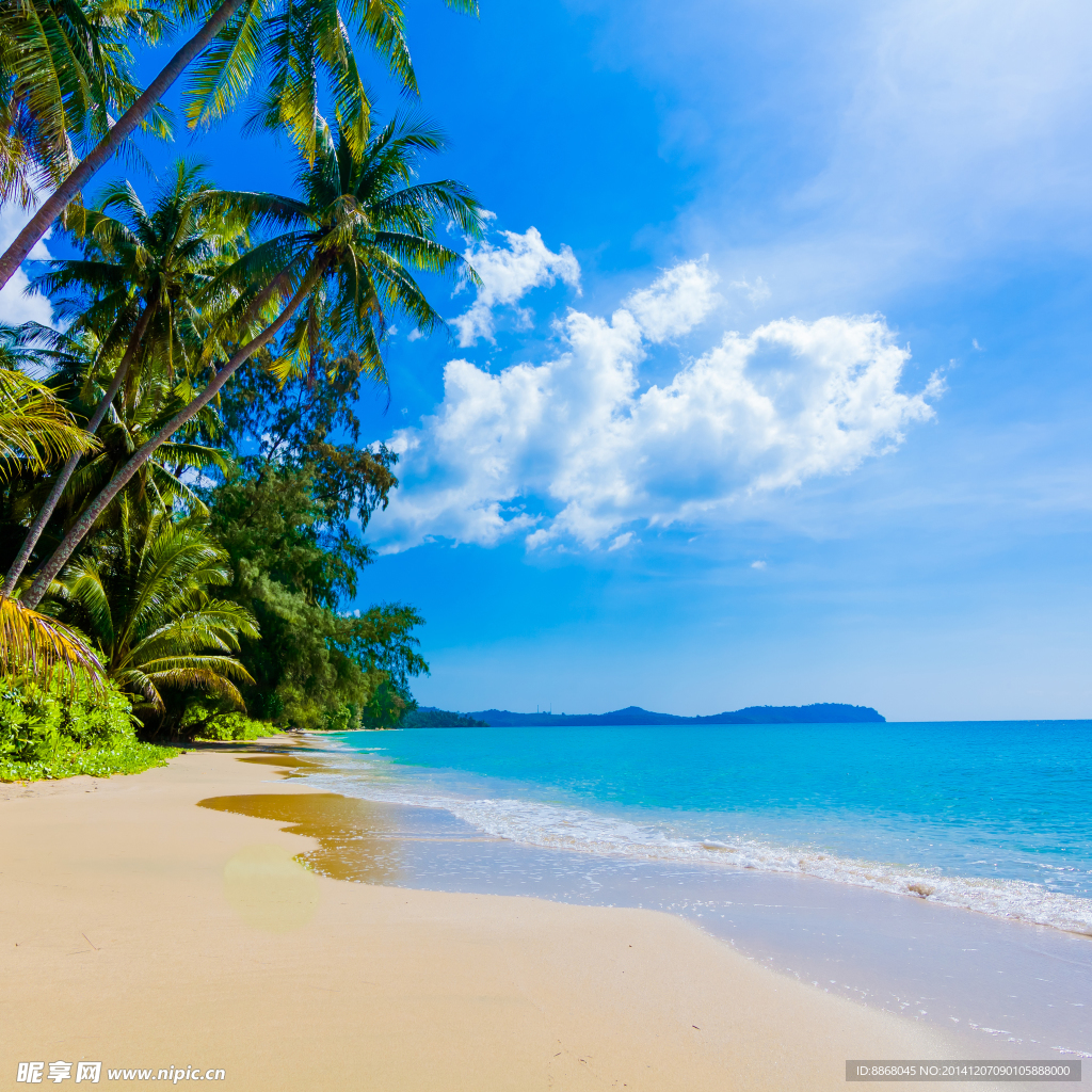 海滩风景