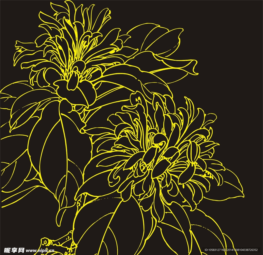 花纹