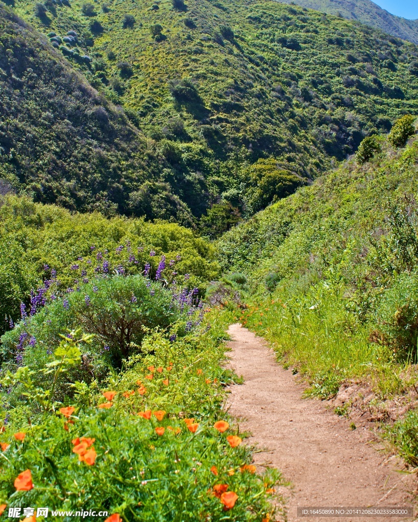山路