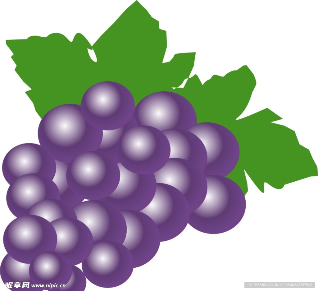 葡萄水果CDR矢量图