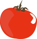 番茄水果CDR矢量图