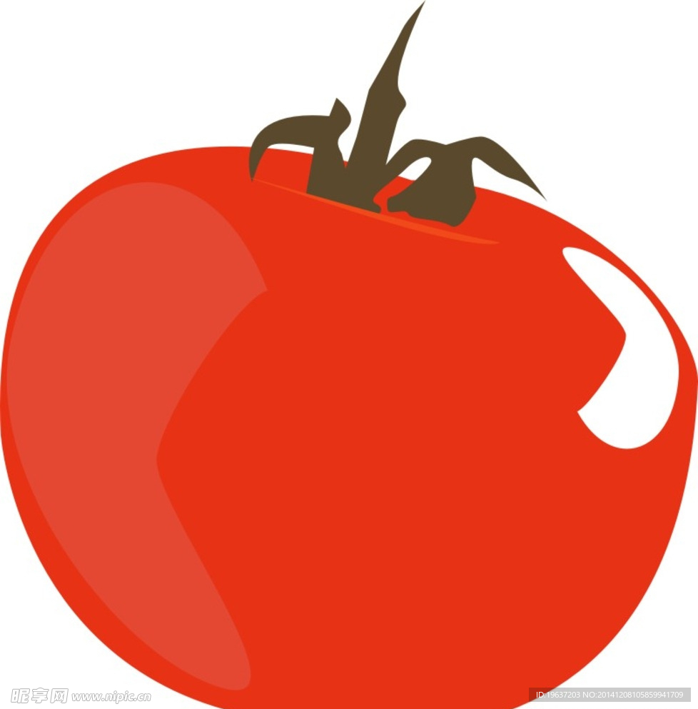 番茄水果CDR矢量图
