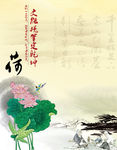 荷花