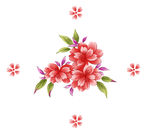 花朵素材
