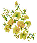 花朵素材